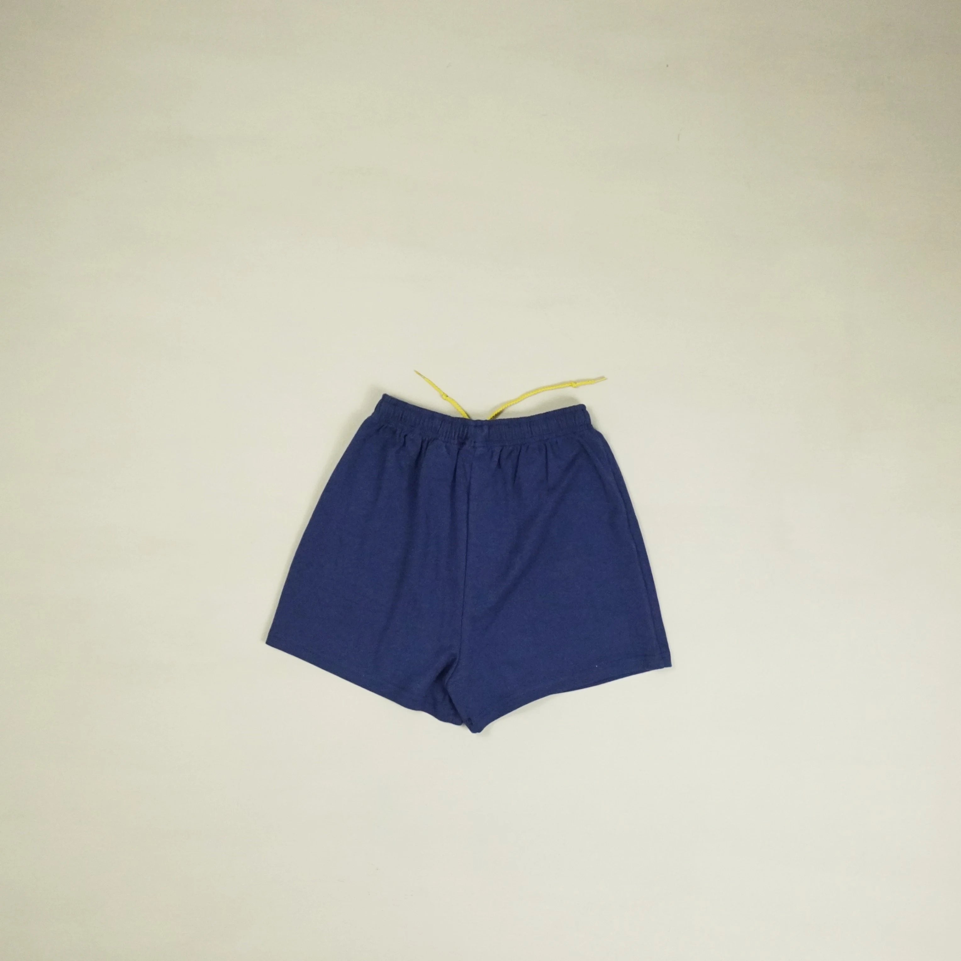 Stüssy Blue Nike Shorts