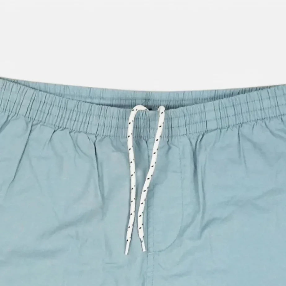 Stüssy Blue Spellout Shorts (30)
