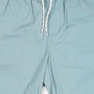 Stüssy Blue Spellout Shorts (30)