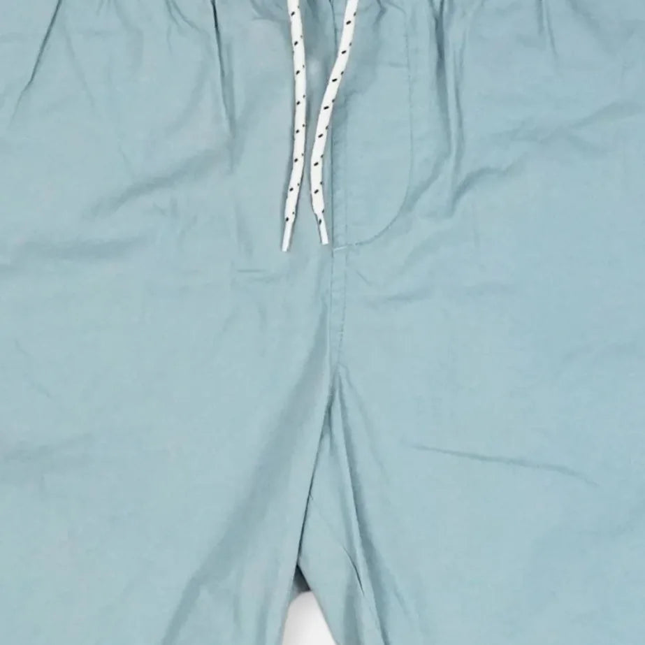 Stüssy Blue Spellout Shorts (30)