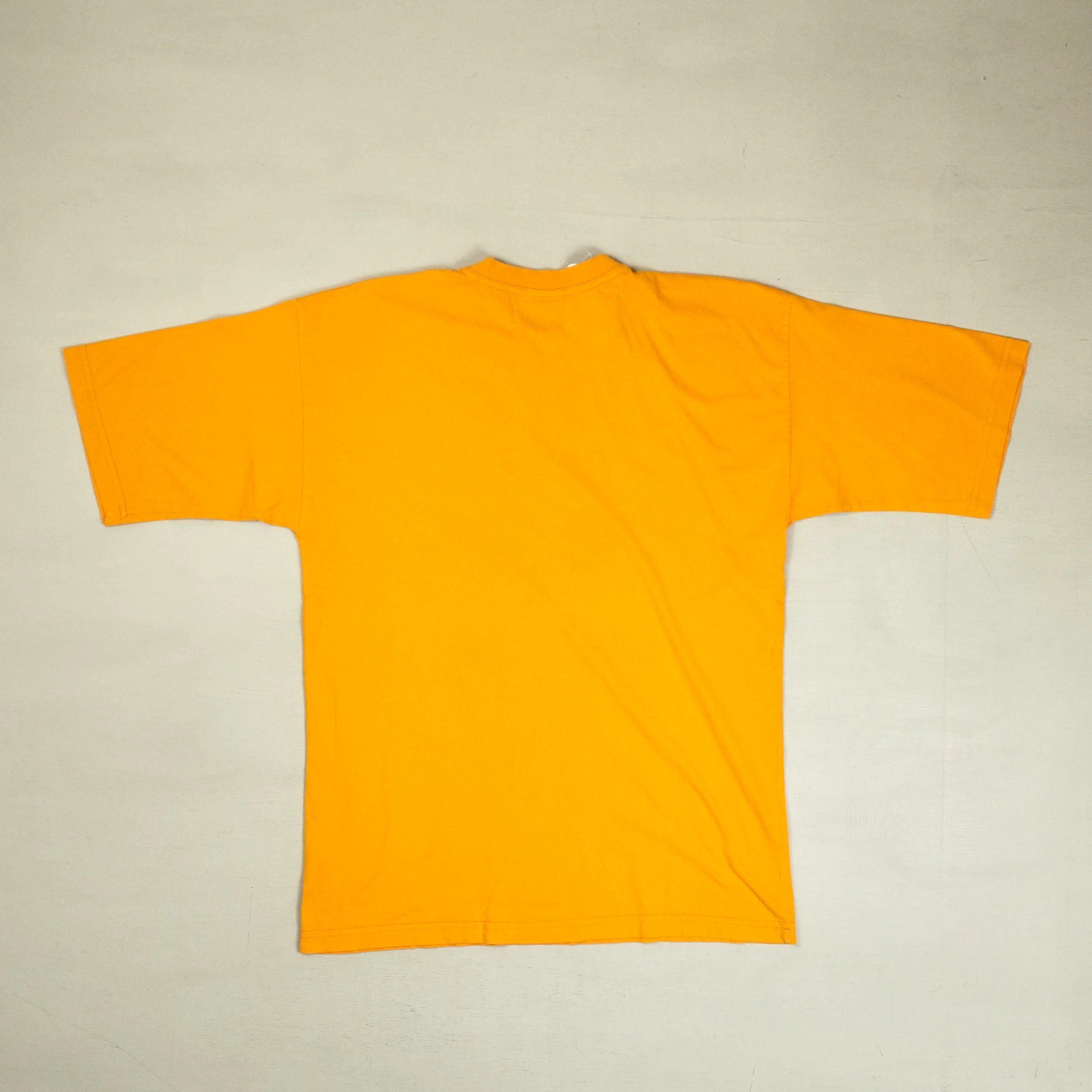 Vintage Arena Orange T-shirt (M)