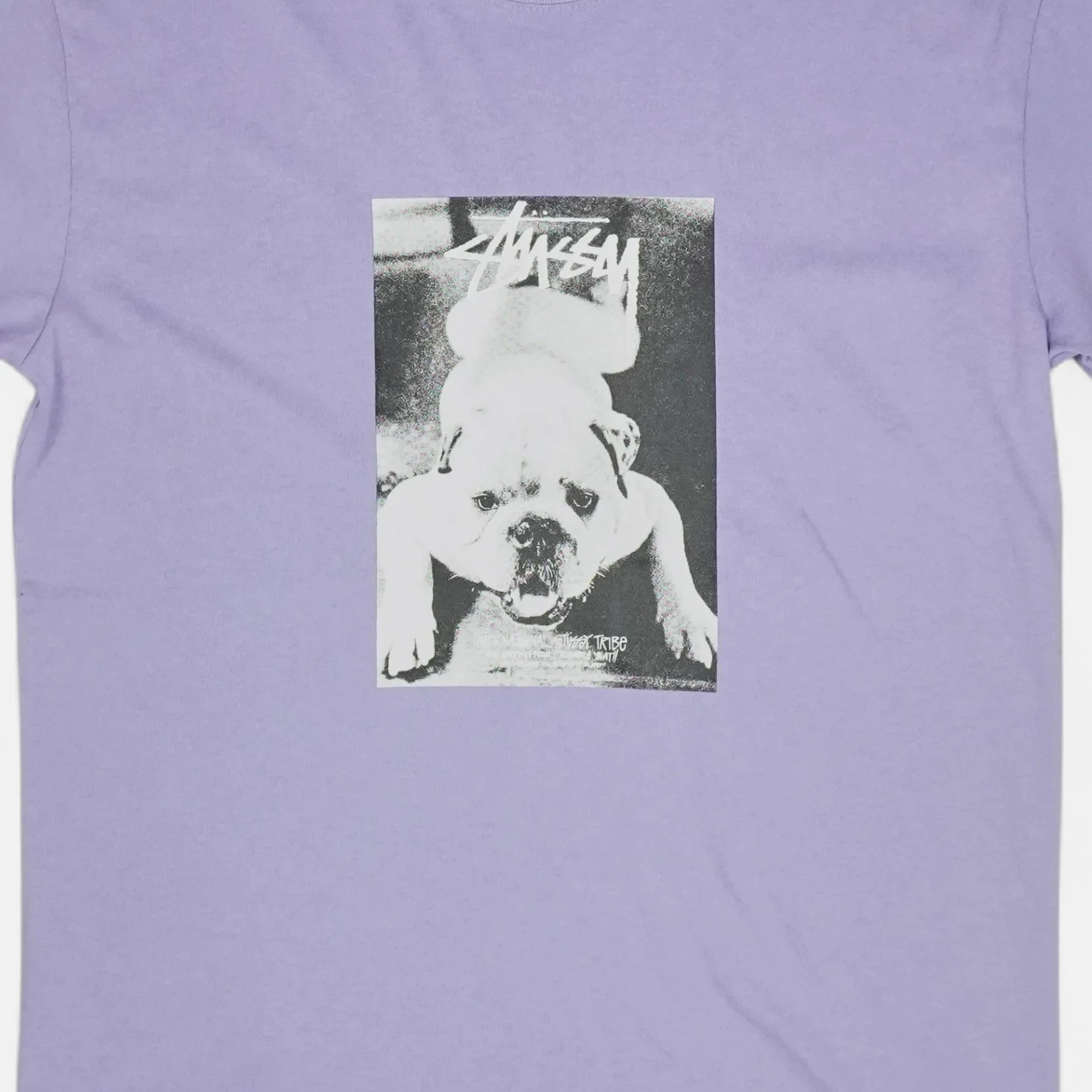 Stussy Purple Dog Graphic T-shirt