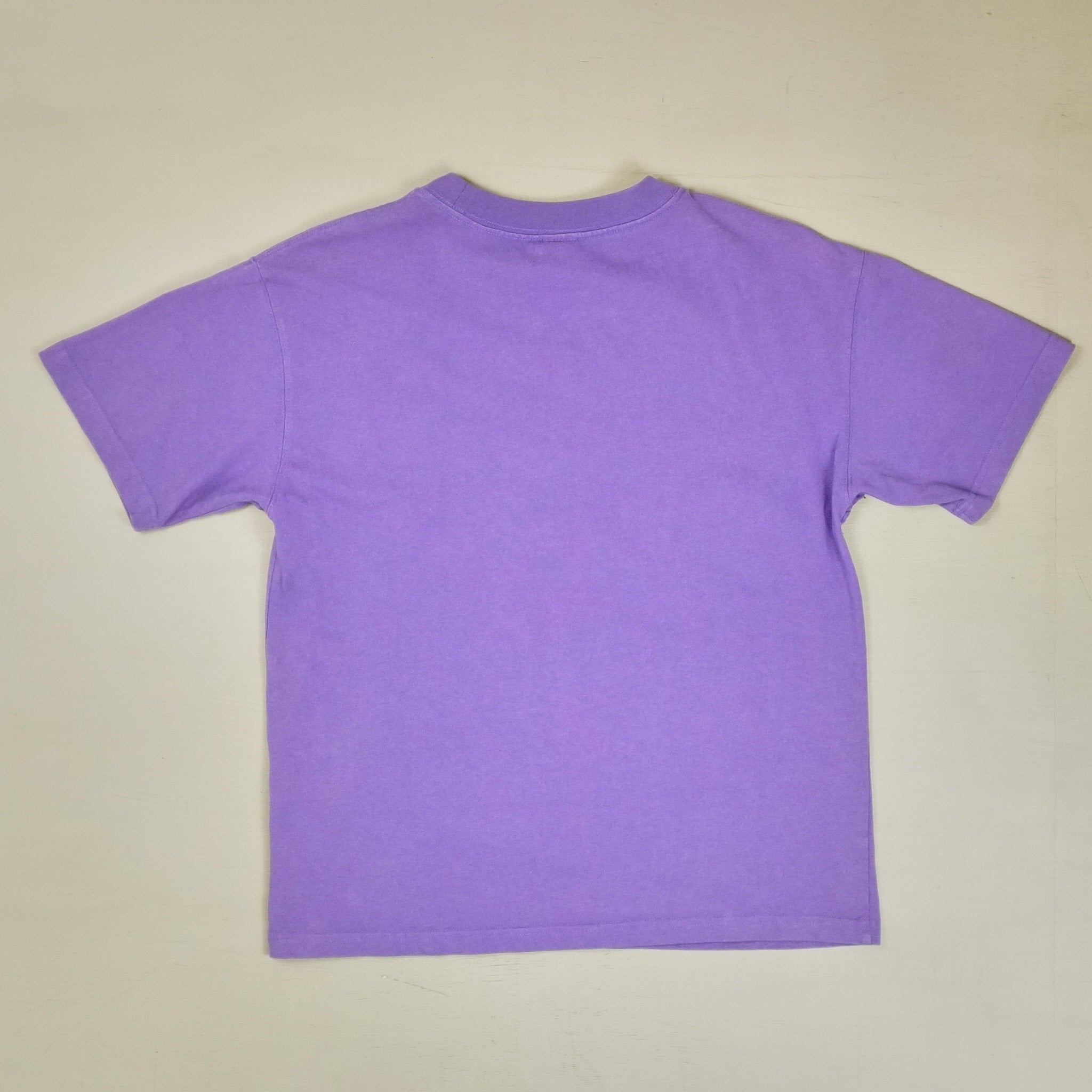 Vintage Nike Acg Purple T-shirt (XS)