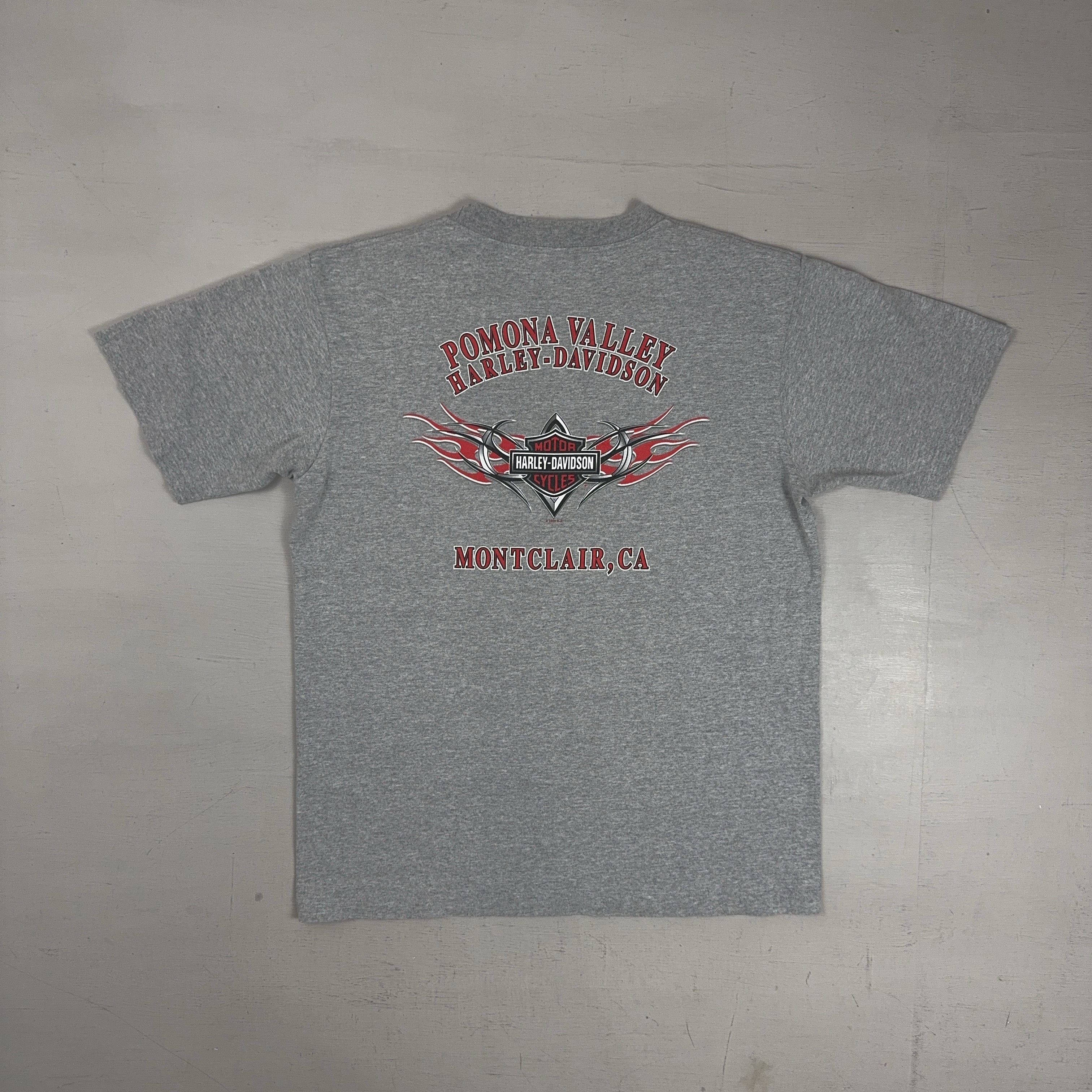 Vintage Harley-Davidson Grey T-shirt (L)