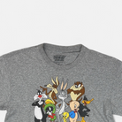 Vintage Looney Tunes Grey T-shirt (M) detail